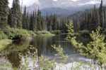 Wet’suwet’en Land