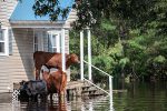 Floods Relief and Support Efforts